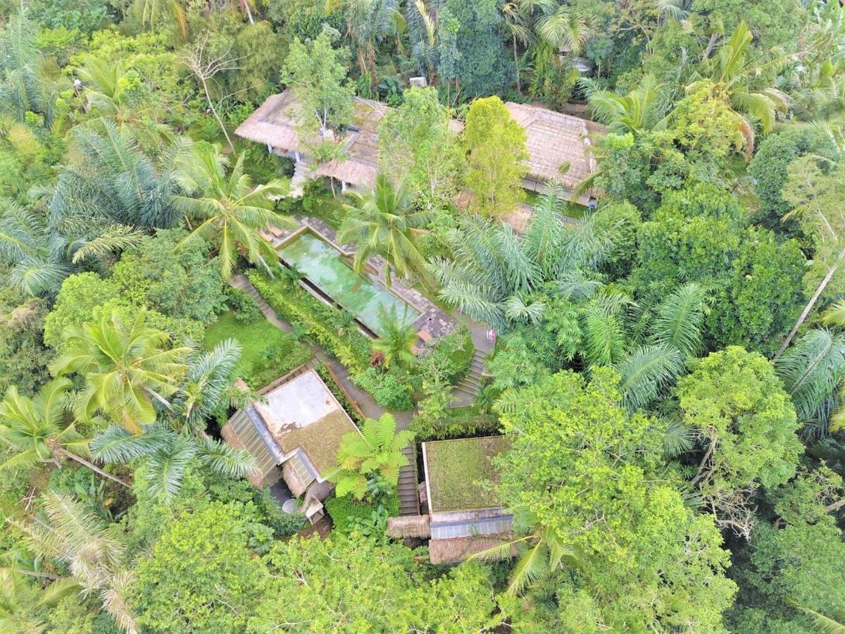 Villa Rimba Ubud Tegallalang (Bali) Exterior foto