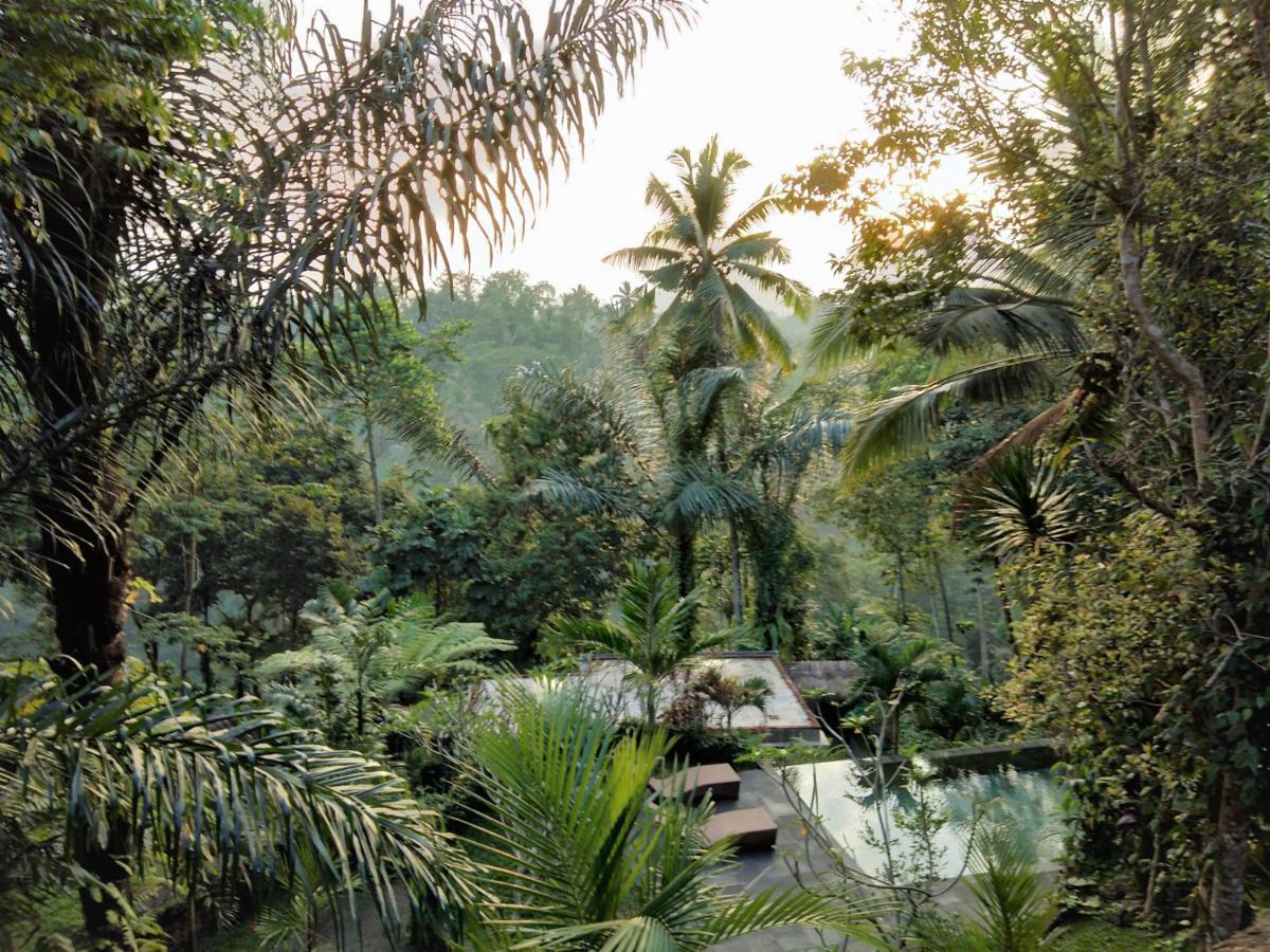 Villa Rimba Ubud Tegallalang (Bali) Exterior foto