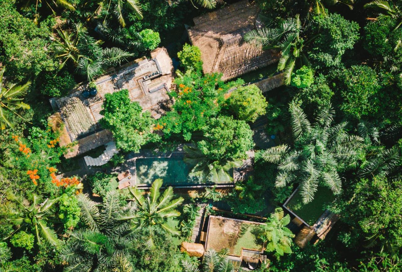 Villa Rimba Ubud Tegallalang (Bali) Exterior foto