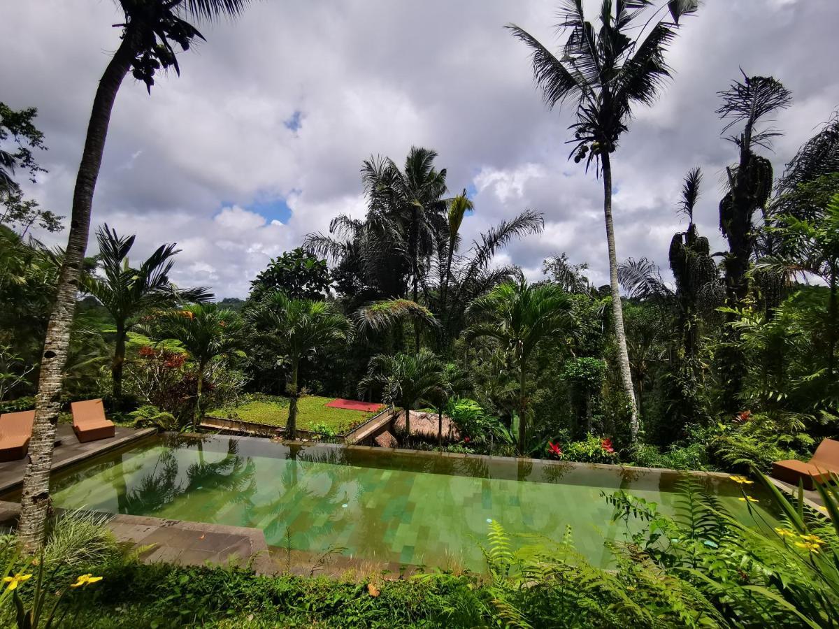Villa Rimba Ubud Tegallalang (Bali) Exterior foto