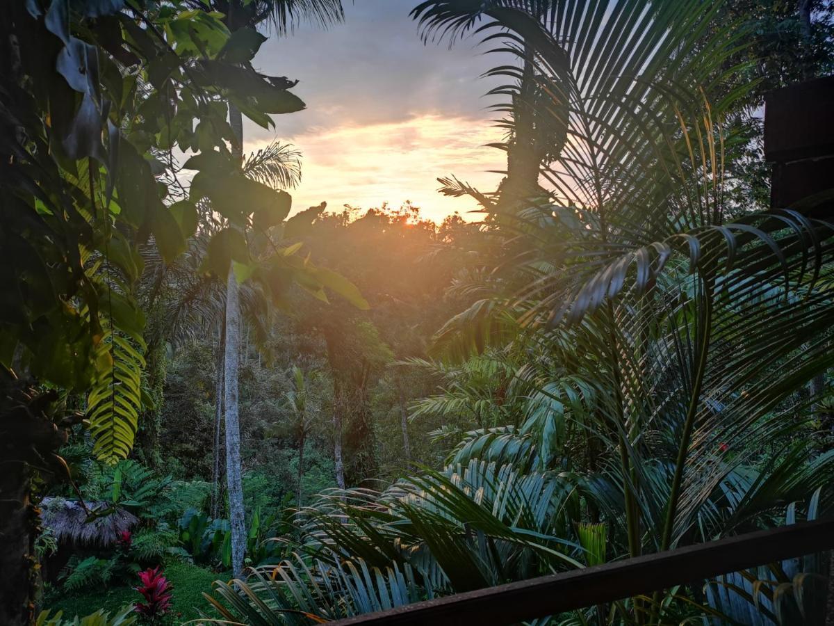 Villa Rimba Ubud Tegallalang (Bali) Exterior foto