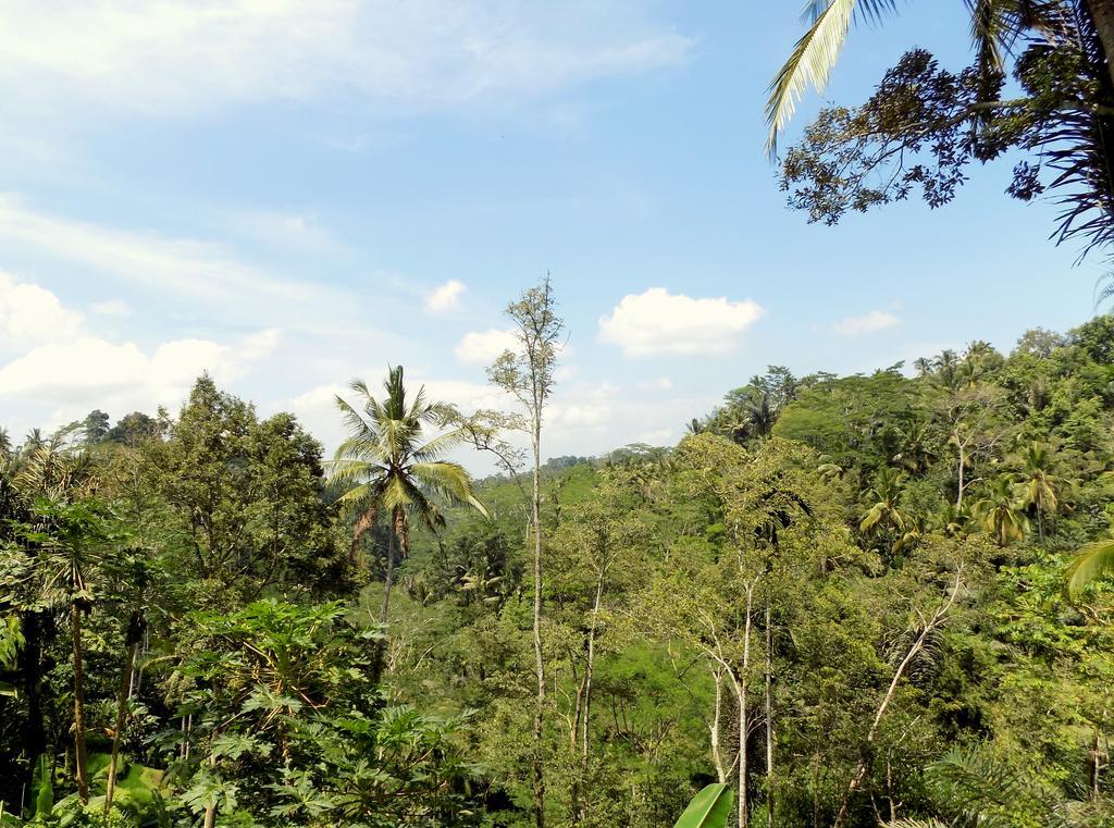 Villa Rimba Ubud Tegallalang (Bali) Exterior foto